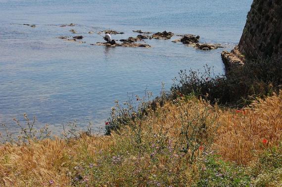 'Chania, Crete, Greece' - Chania